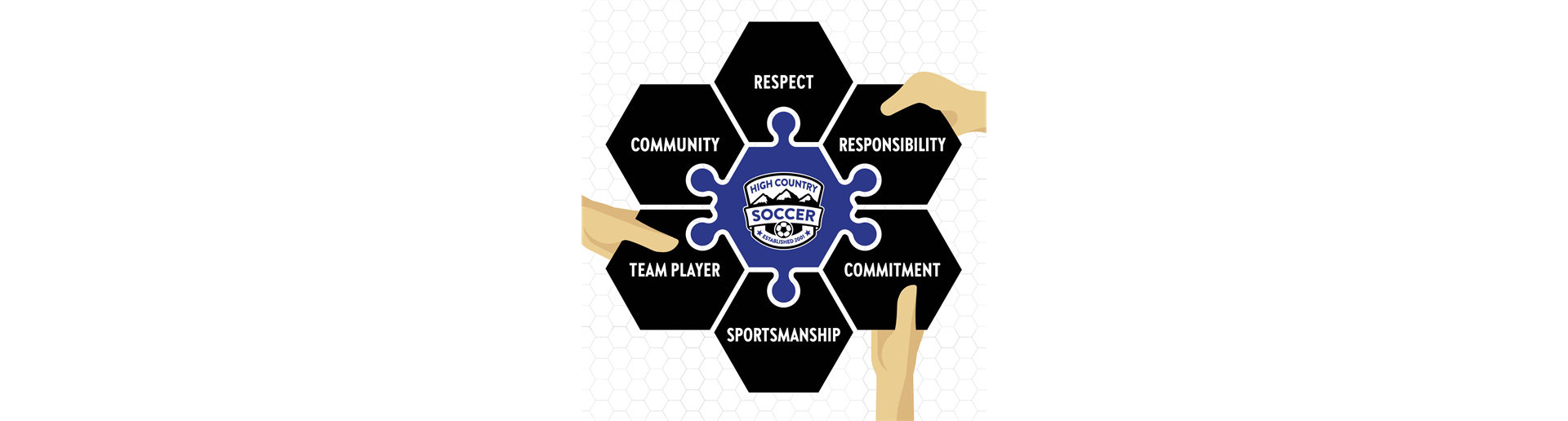 HCSA values